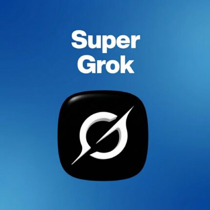 Super Grok | Private | 1 month